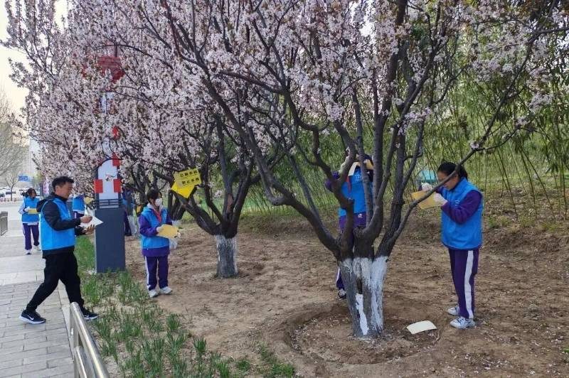 1775616187400391.jpg 12.jpg