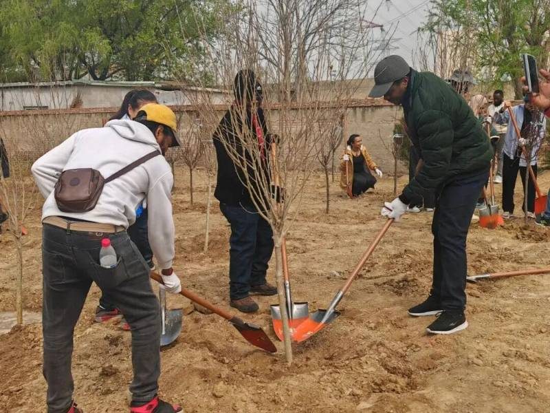 1775616252555523.jpg 10.jpg