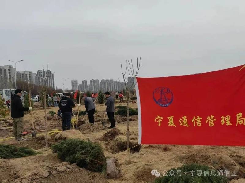 1775617875976335.jpg 1 (1).jpg