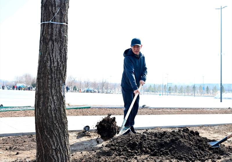 1775716567747233.jpg 3.jpg