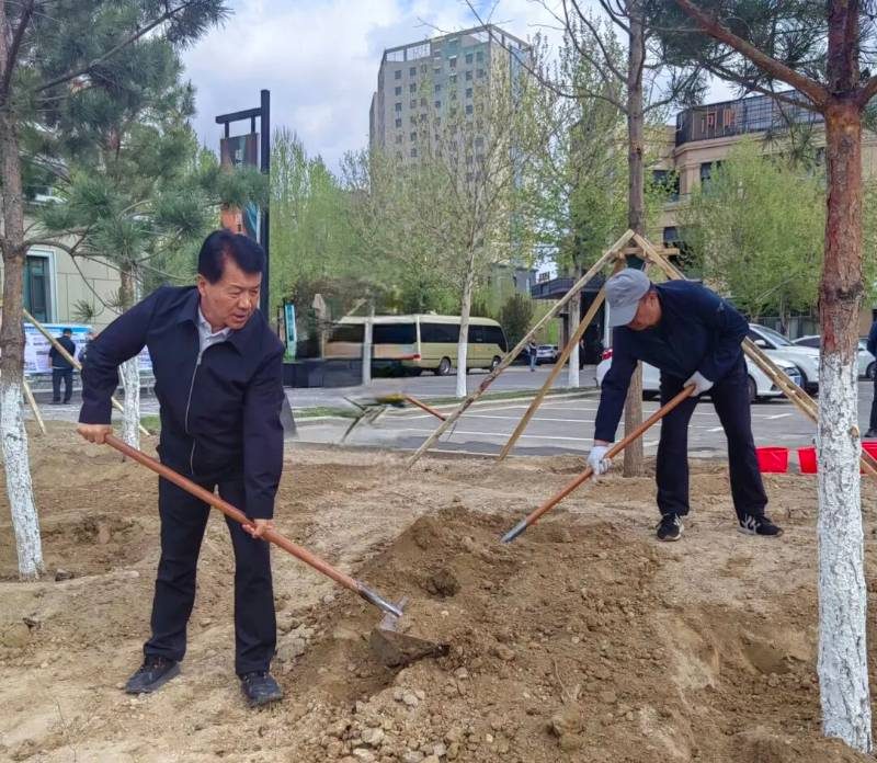 1775809003231365.jpg 13.jpg