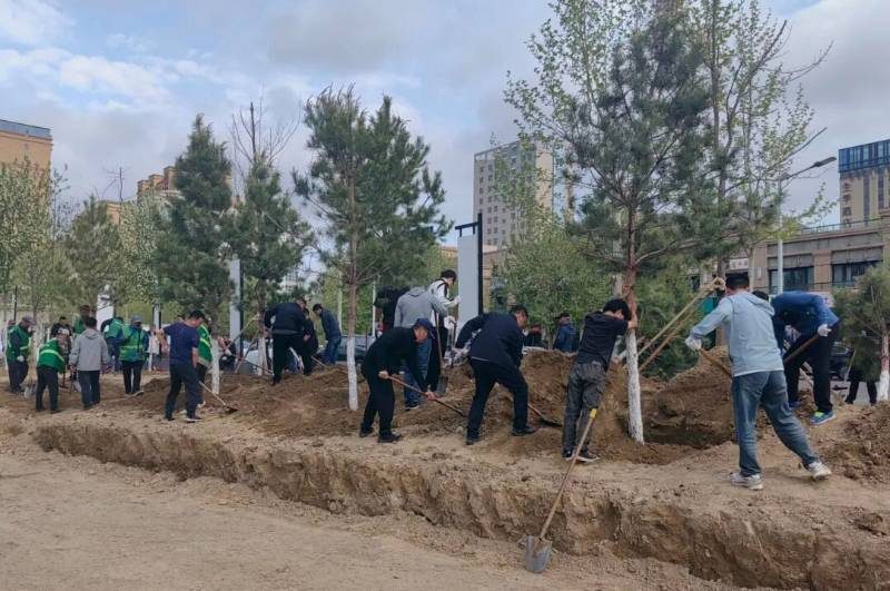 1775809013144221.jpg 14.jpg