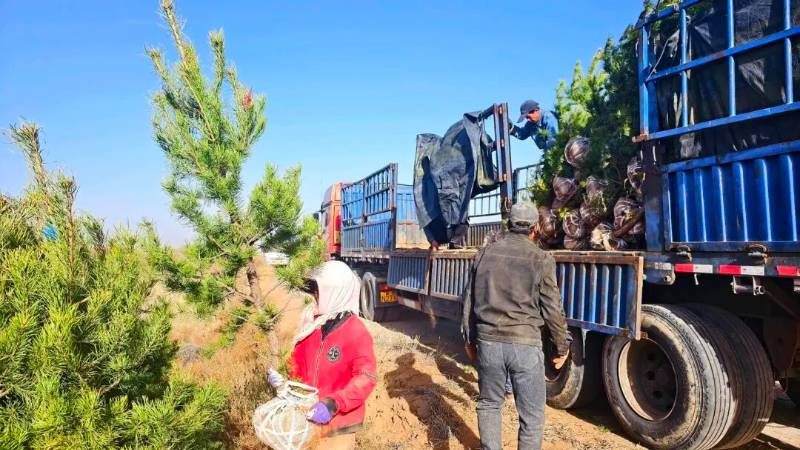 1775809160668607.jpg 15.jpg