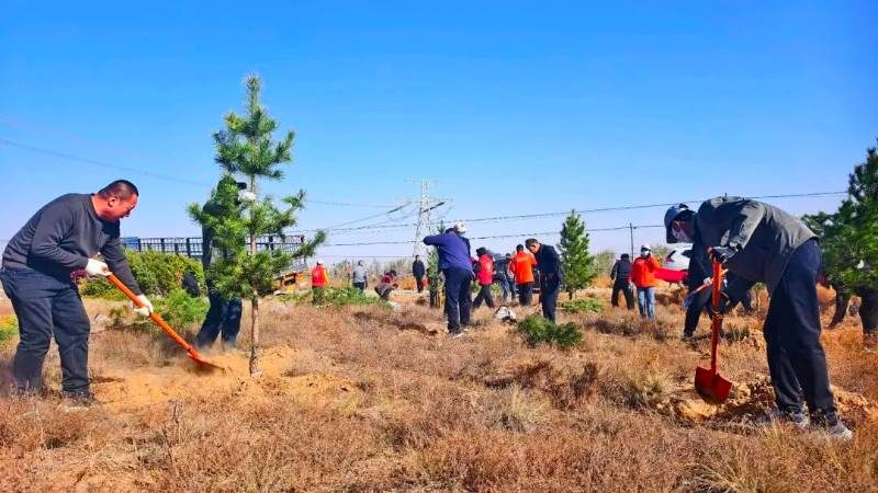 1775809174136523.jpg 16.jpg