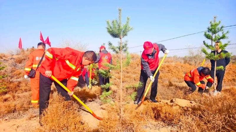 1775809183144334.jpg 17.jpg