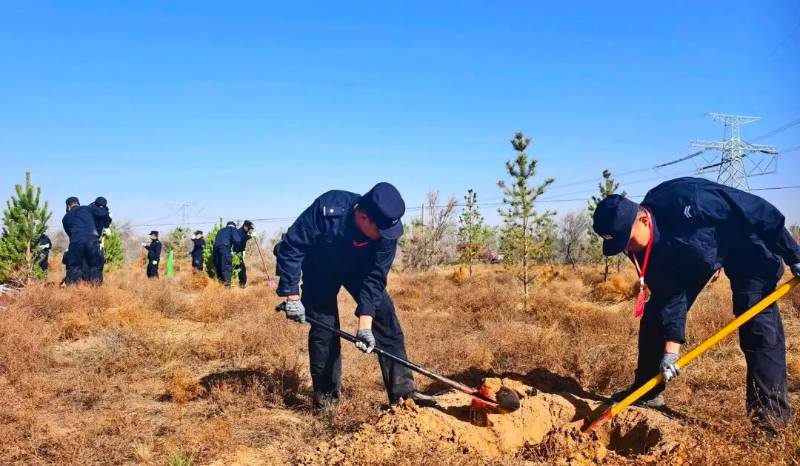 1775809191733799.jpg 18.jpg