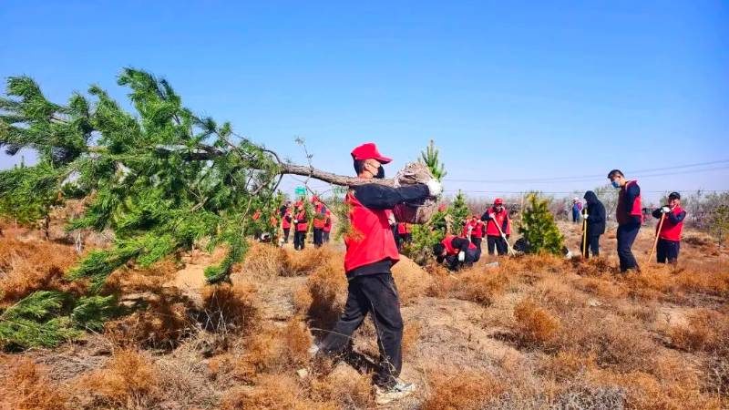 1775809200513382.jpg 19.jpg