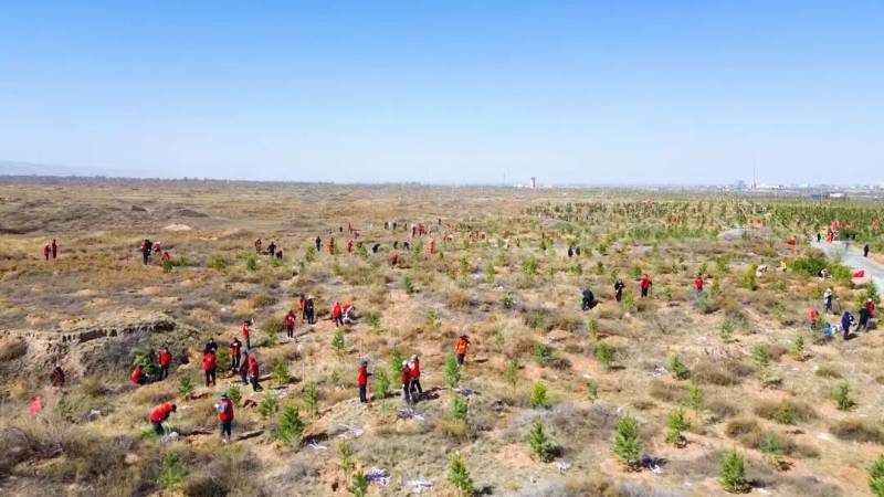 1775809216925971.jpg 21.jpg