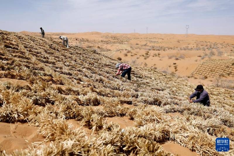 1776051157714793.jpg 2.jpg