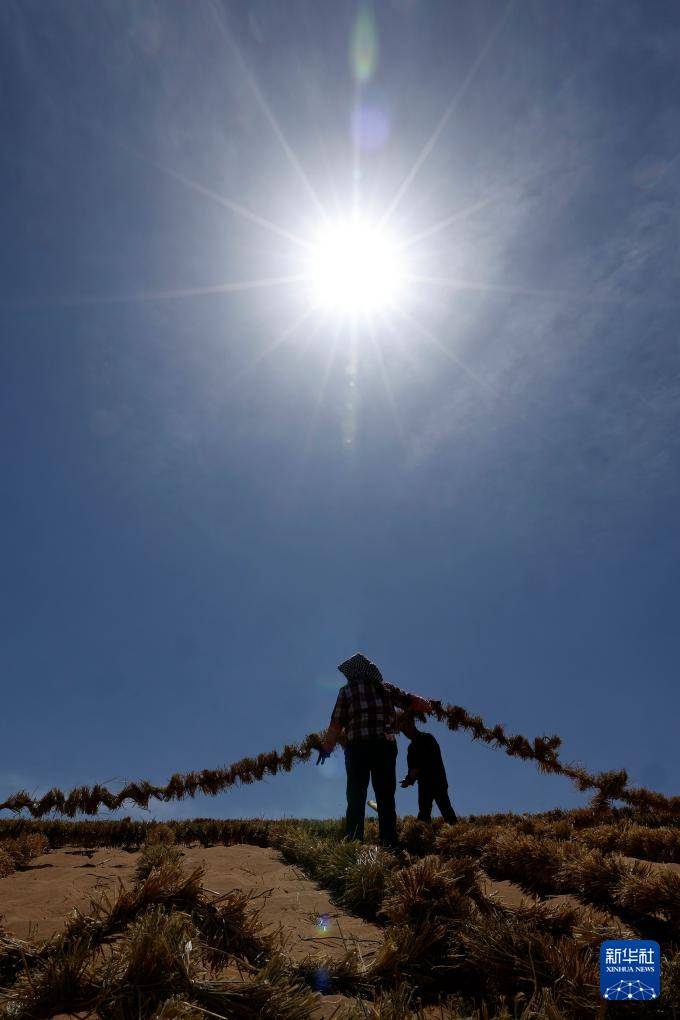 1776051170303275.jpg 1776051170303275.jpg