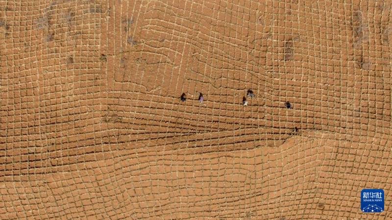 1776051189718161.jpg 4.jpg