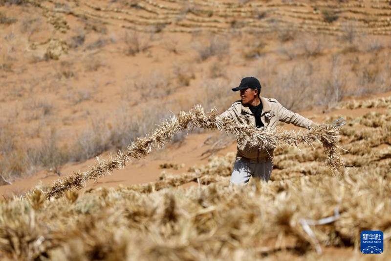 1776051207785457.jpg 5.jpg