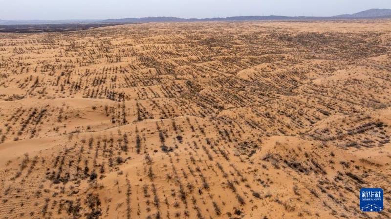 1776051218270988.jpg 6.jpg