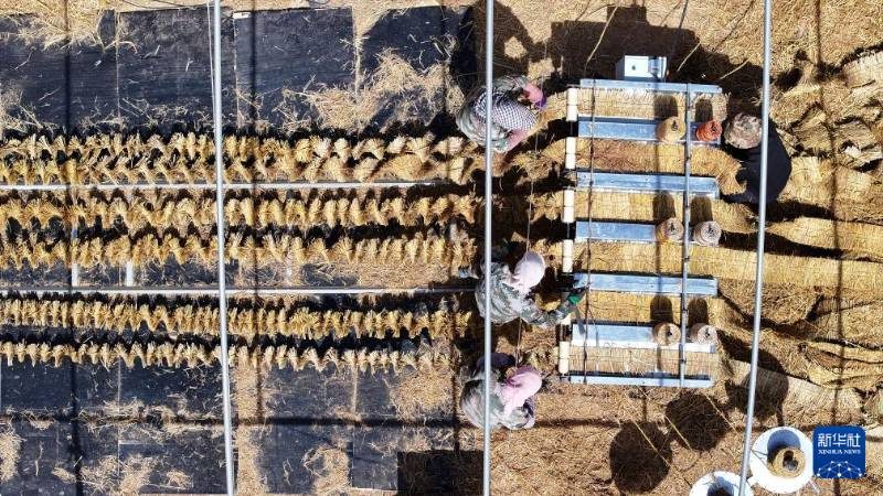 1776051227599243.jpg 7.jpg