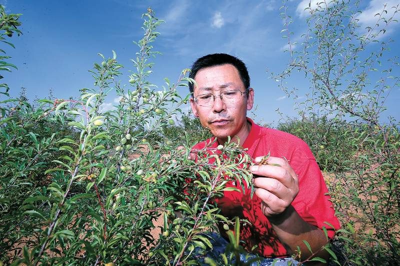 1776051508830992.jpg 10.jpg