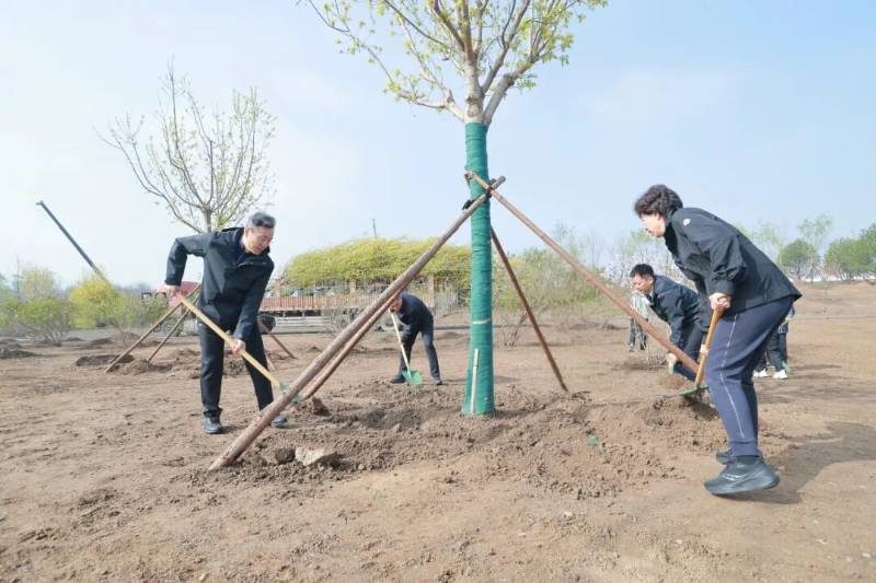 1776057899146138.jpg 6.jpg