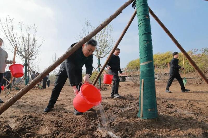 1776057902150539.jpg 7.jpg