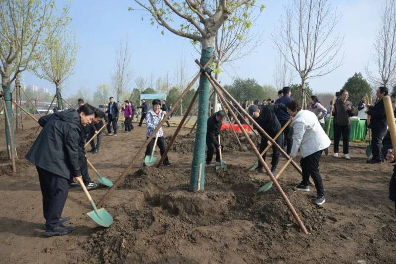 1776057908956016.jpg 9.jpg