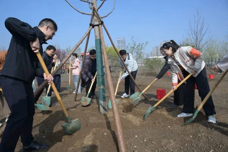 1776057912482037.jpg 10.jpg