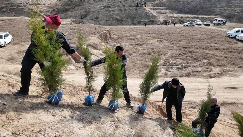 1776144791609633.jpg 18.jpg