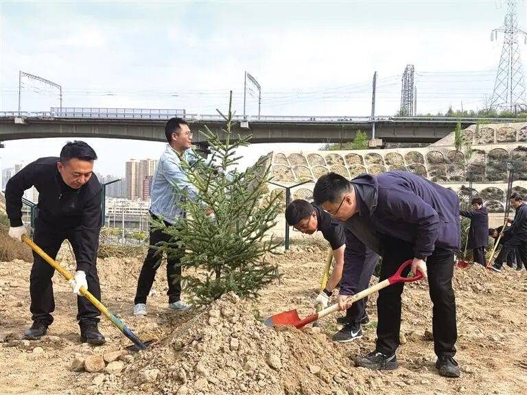 1776144812259941.jpg 17.jpg