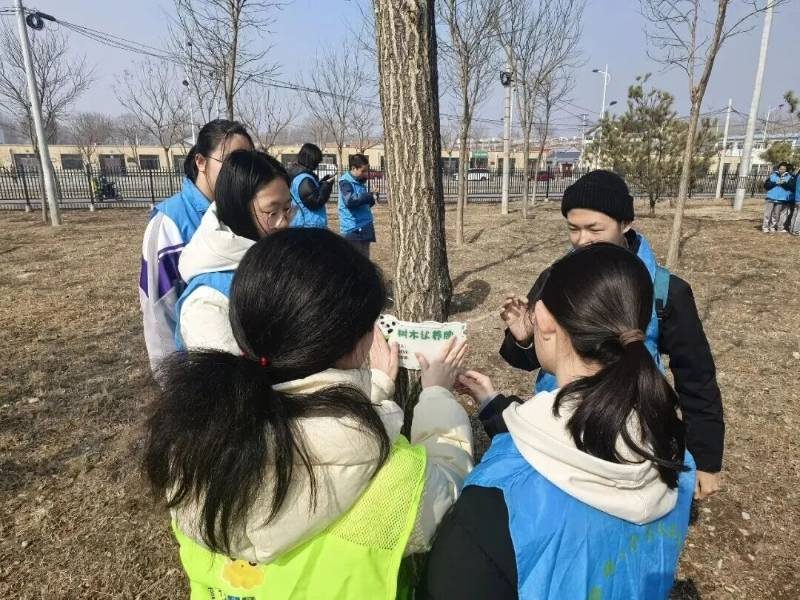 1776145383402698.jpg 25.jpg