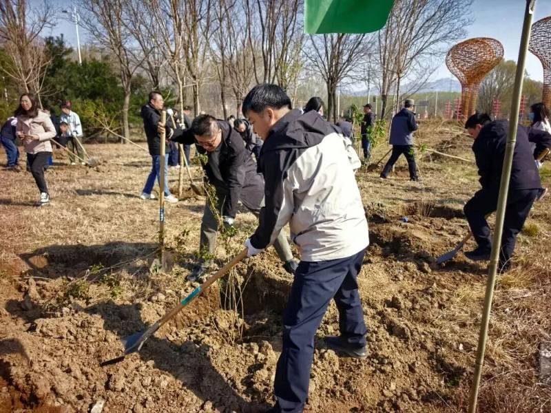 1776145846642787.jpg 31.jpg