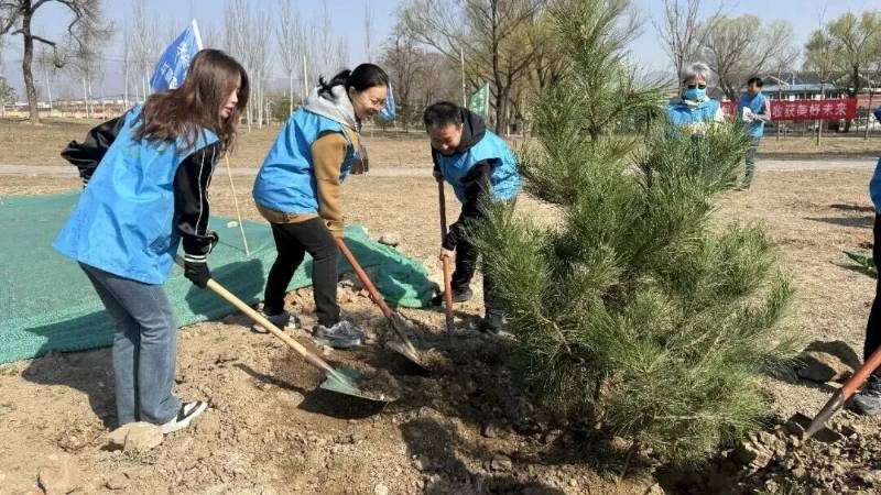 1776145866551133.jpg 32.jpg