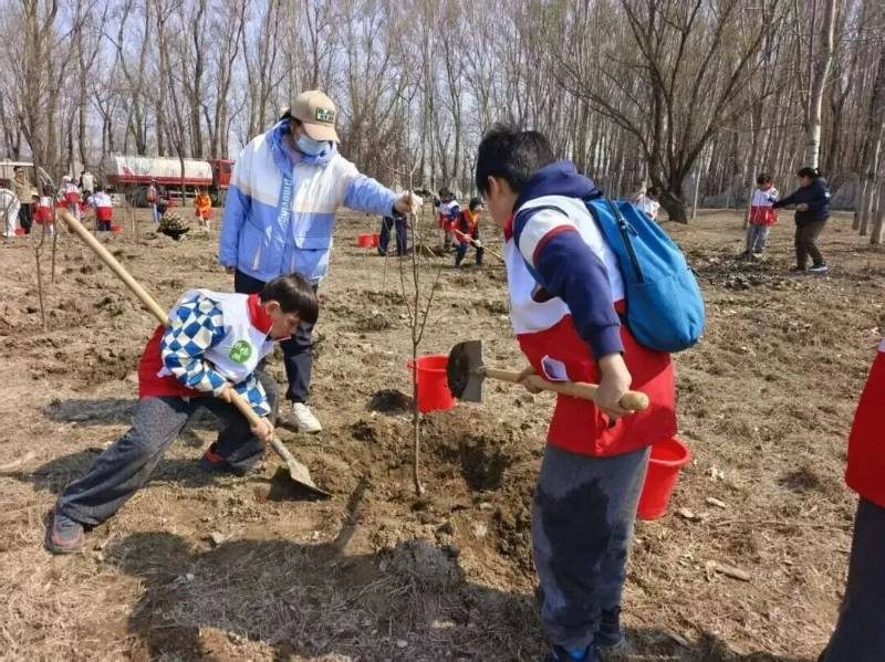 1776145871340590.jpg 33.jpg