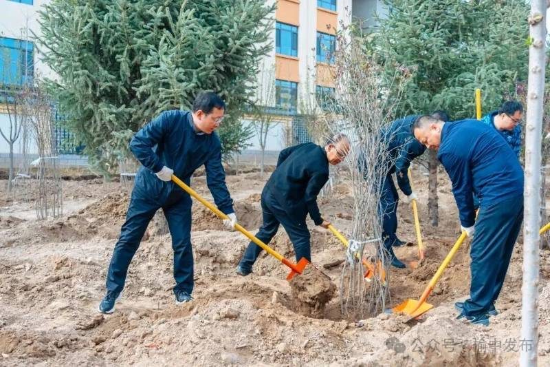 1776146033641951.jpg 38.jpg