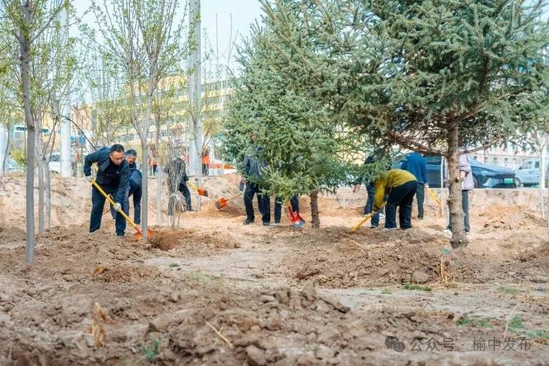 1776146072132992.jpg 41.jpg