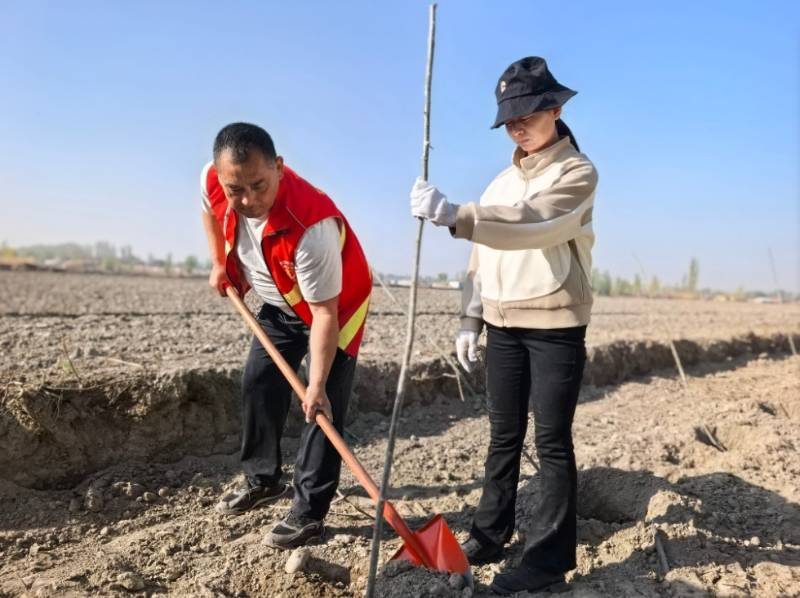 1776146163104574.jpg 44.jpg