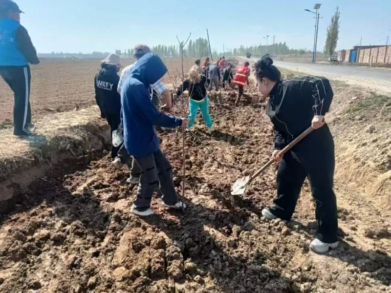 1776146181314372.jpg 46.jpg