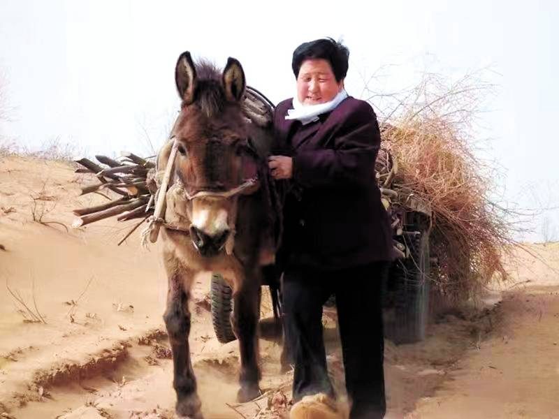 1776219181164794.jpg 5.jpg