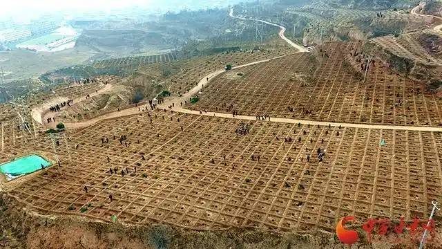 1776220212145256.jpg 2.jpg