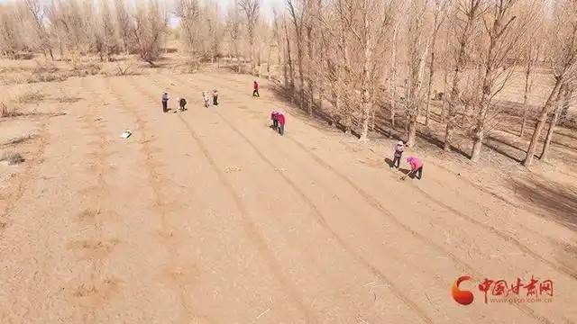 1776220234400192.jpg 3.jpg