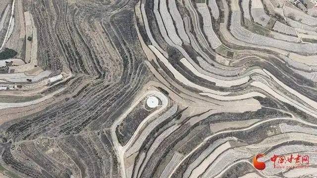 1776220257649908.jpg 5.jpg