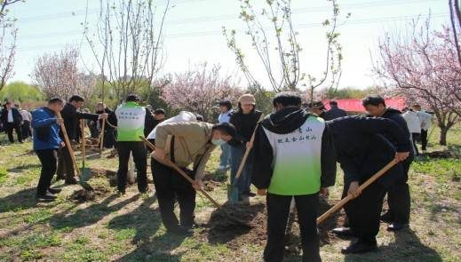 1776220527220479.jpg 8.jpg