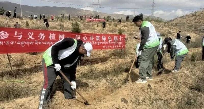 1776221237554514.jpg 13.jpg