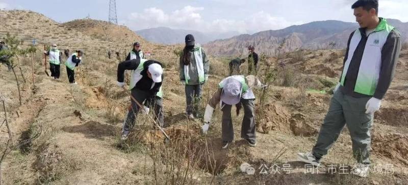 1776221241547378.jpg 14.jpg