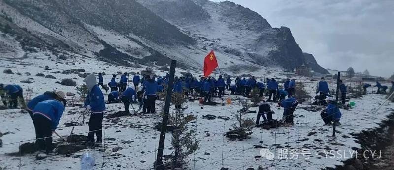 1776221473742976.jpg 2.jpg