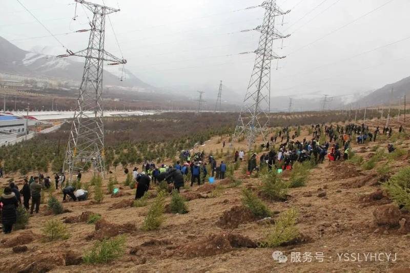 1776221484454317.jpg 3.jpg