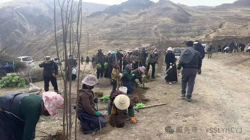 1776221493357849.jpg 4.jpg