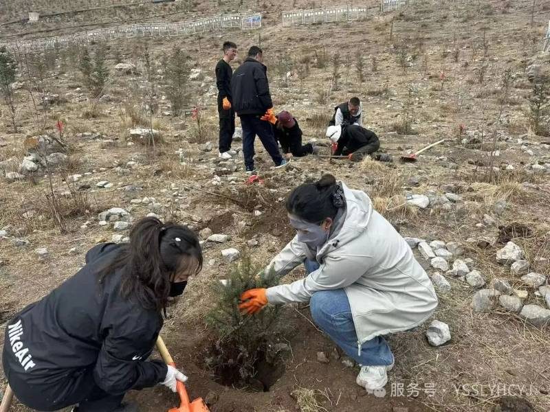 1776221497730765.jpg 5.jpg