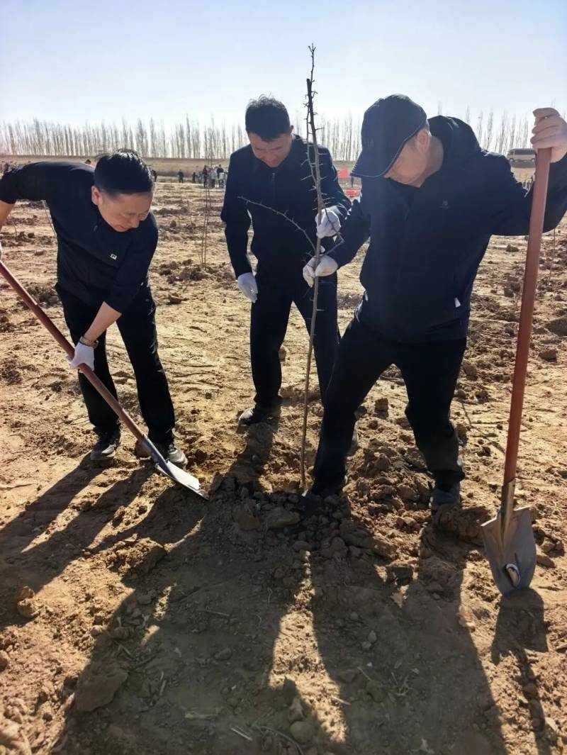 1776222183636314.jpg 33.jpg