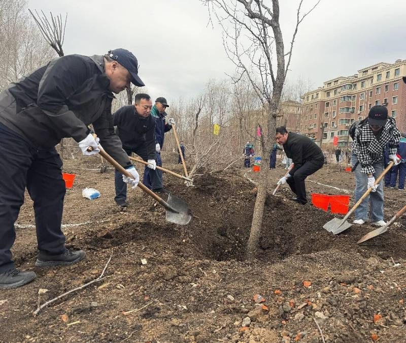 1776222386672562.jpg 34.jpg