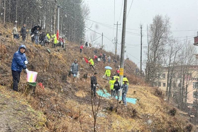 1776223414888002.jpg 10.jpg