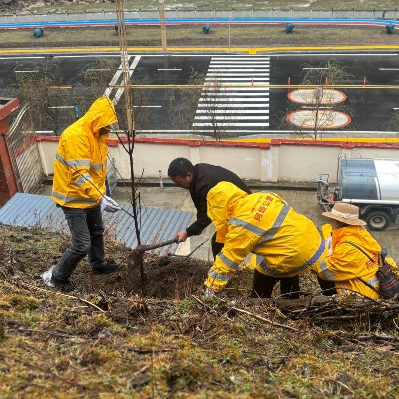 1776223450847084.jpg 6.jpg