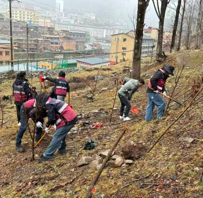 1776223469995853.jpg 4.jpg