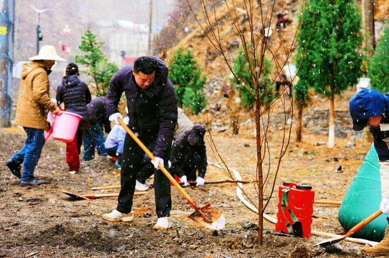 1776223481417925.jpg 2.jpg